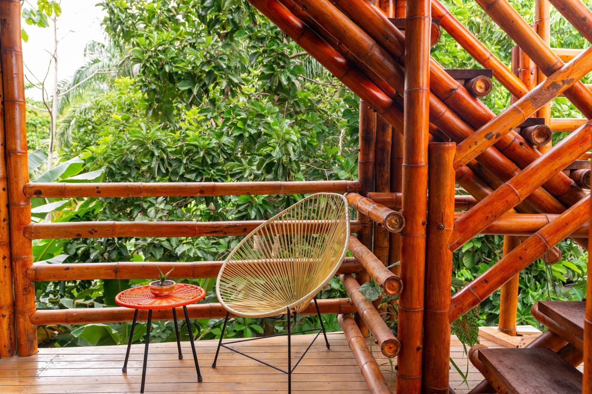 Tayrona Juanchos House Hostel Los Naranjos Extérieur photo